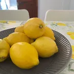 Casa Sole E Limone Castellammare del Golfo
